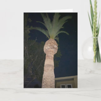 Palmträd 🌴 kort