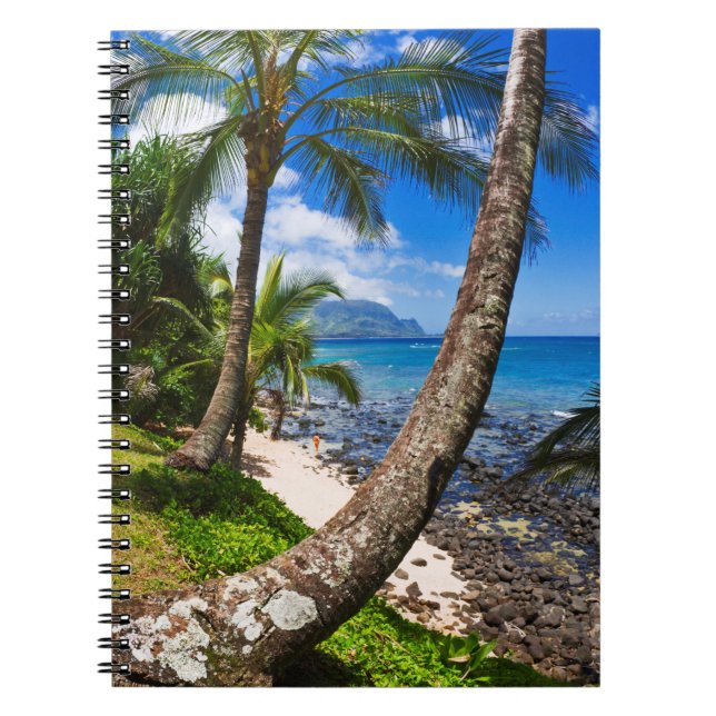 Palmträd längs Hideaways Beach Anteckningsbok (Framsidan)