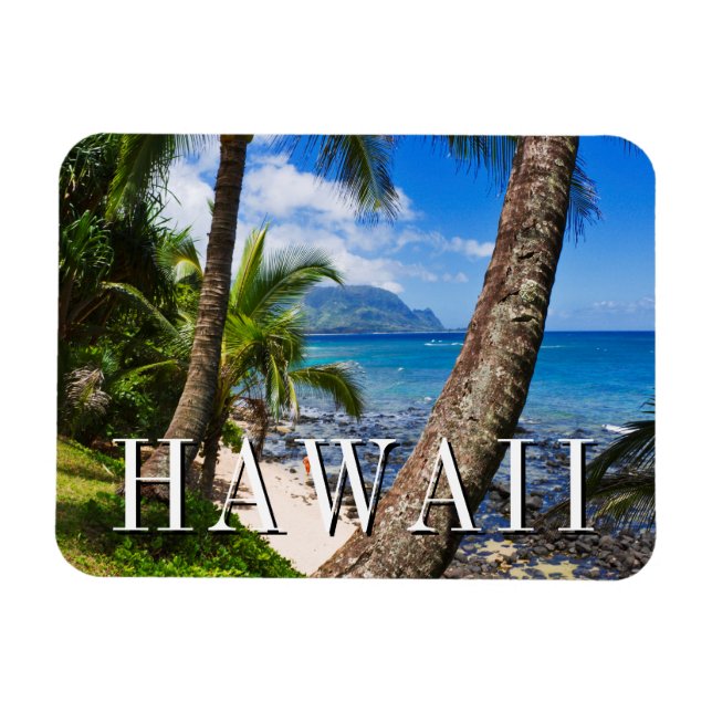 Palmträd längs Hideaways Beach Magnet (Horisontell)