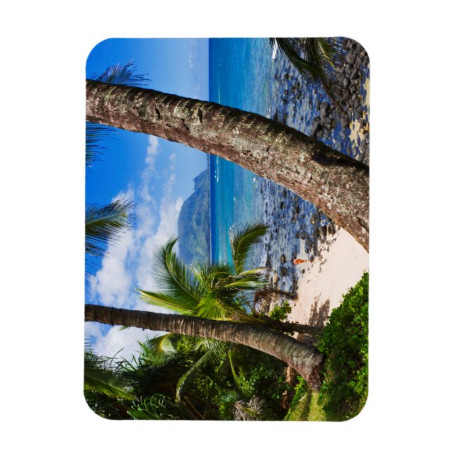 Palmträd längs Hideaways Beach Magnet (Vertikal)