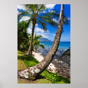 Palmträd längs Hideaways Beach Poster