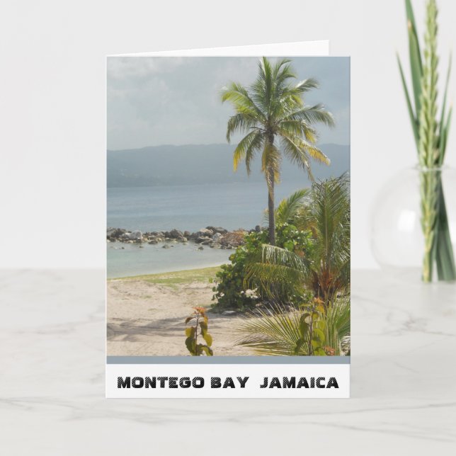 Palmträd Montego Bay Jamaica Juni 2011 Kort (Framsida)