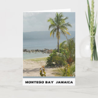 Palmträd Montego Bay Jamaica Juni 2011 Kort