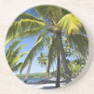 Palmträd, National Historic Park Pu'uhonua o Underlägg Sandsten
