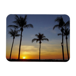 Palmträd och solnedgång, Mindil Beach Magnet