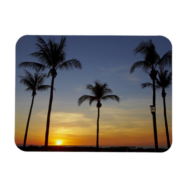 Palmträd och solnedgång, Mindil Beach Magnet (Horisontell)