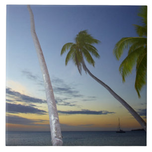 Palmträd och solnedgång, Plantation Island Resort Kakelplatta