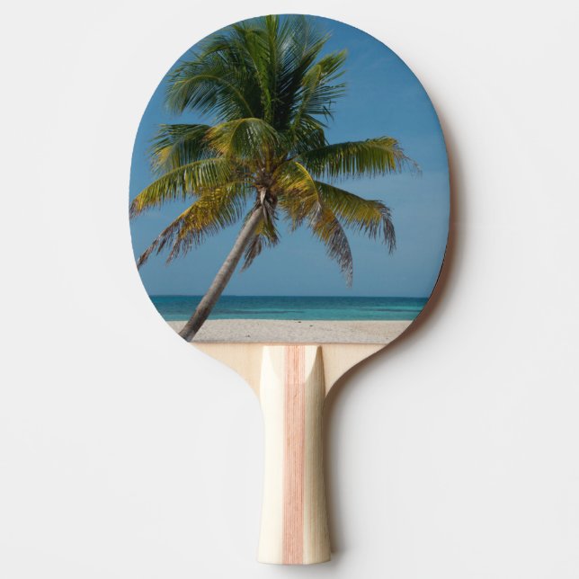 Palmträd och vit sandstrand  2 pingisracket (Framsidan)