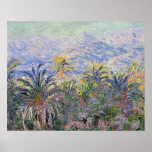 Palmträd på Bordighera - Claude Monet Poster