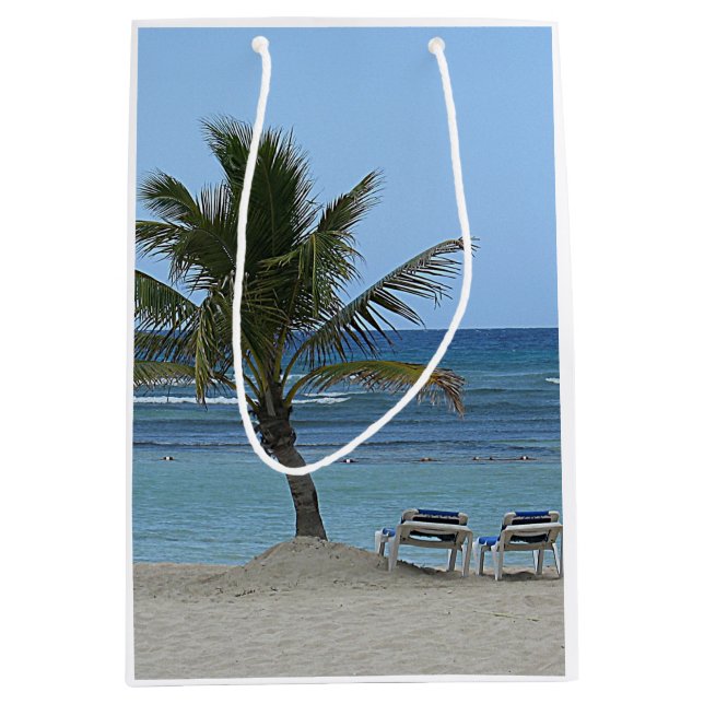 Palmträd på stranden (Framsidan)