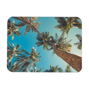 Palmträd på tropisk strandvintage magnet