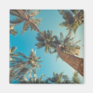 Palmträd på tropisk strandvintage magnet