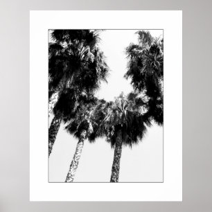 Palmträd Poster