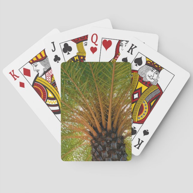 Palmträd undersida casinokort (Baksidan)