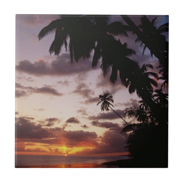 Palmträd vid havet kakelplatta (Framsidan)