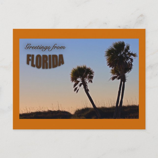PalmträdFlorida vykort (Framsida)
