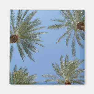 Palmträdmagnet Magnet