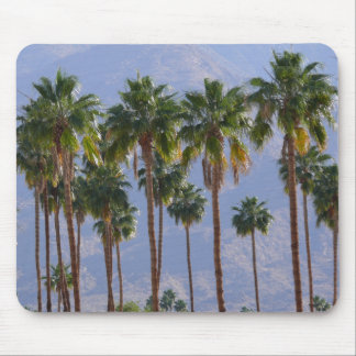 Palmträdöken Kalifornien Palm Spring Mousepad Musmatta