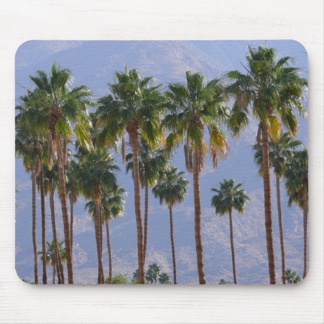 Palmträdöken Kalifornien Palm Spring Mousepad Musmatta (Framsidan)