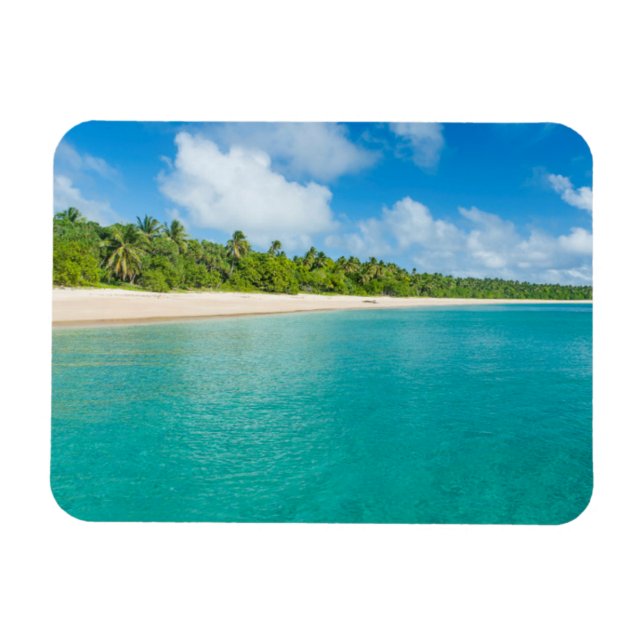Palmträdsfodrad strand, Tonga Magnet (Horisontell)