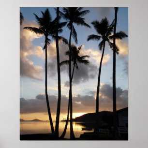 Palmträdssilhuetter på Hawaii Poster