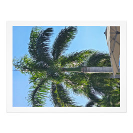 Palmtree tryck
