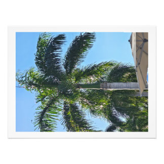 Palmtree tryck