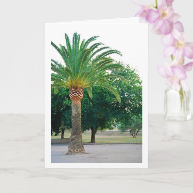 Palmtreeporträtt Kort (Orkide)