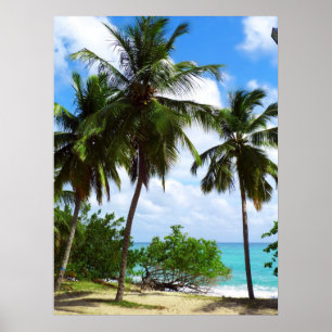 Palmtrees på den tropiska sjölandskapaffischen poster