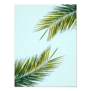 Palmtreets gren fototryck