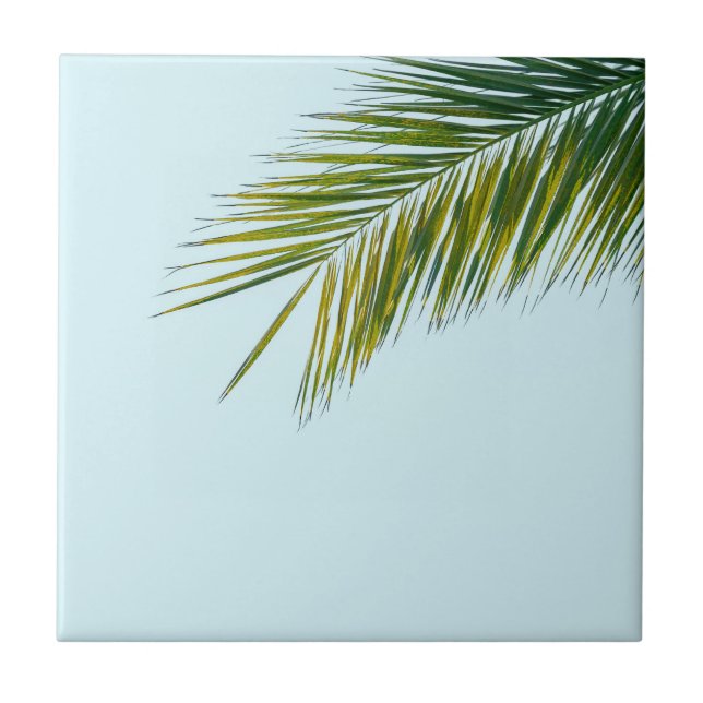 Palmtreets gren kakelplatta (Framsidan)