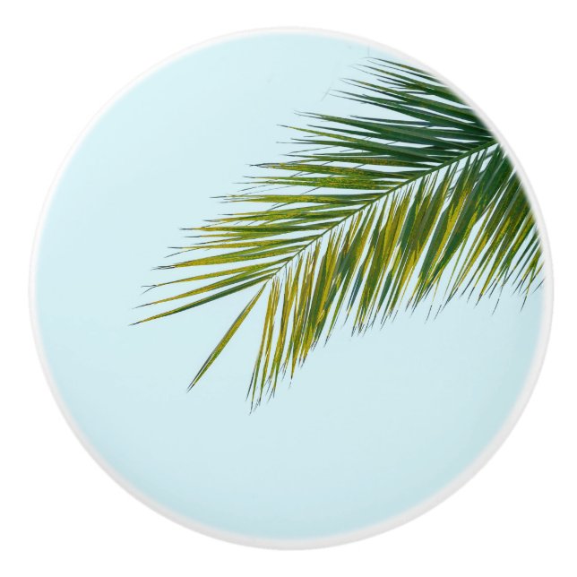 Palmtreets gren knopp (Framsidan)