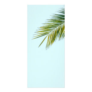 Palmtreets gren reklamkort