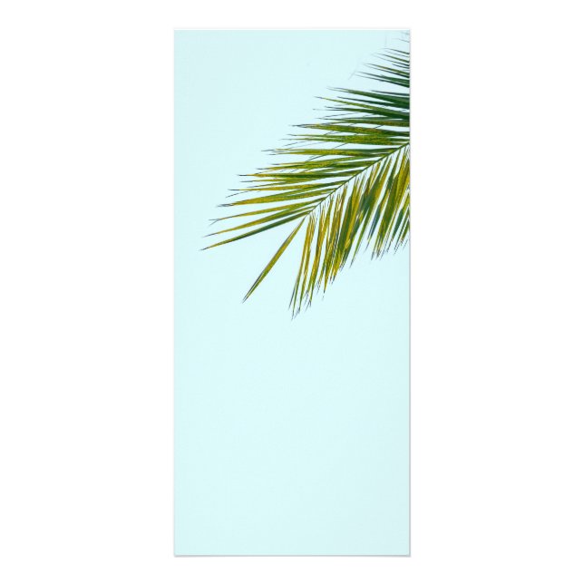 Palmtreets gren reklamkort (Framsidan)