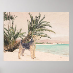 Palmy Beach Poster