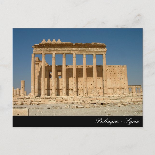Palmyra, Bell Temple, Roman Ruins, Anscient Syrien Vykort (Framsida)