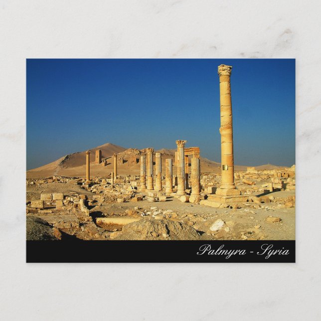 Palmyra, Bell Temple, Roman Ruins, Syrien Vykort (Framsida)