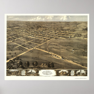 Palmyra, MO Panoramic Karta - 1869 Poster