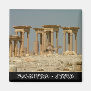 Palmyra, Syriens skatter nr 3 (Fridge Magnet) Magnet