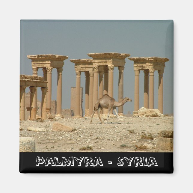 Palmyra, Syriens skatter nr 3 (Fridge Magnet) Magnet (Framsidan)