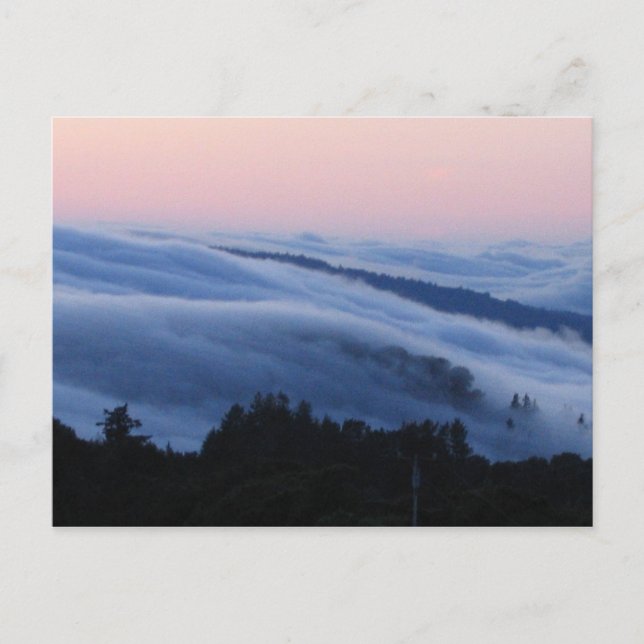 Palo Alto-spår Vykort (Framsida)