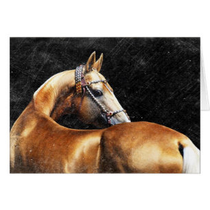 Palomino Akhal-teke stallion OBS Kort