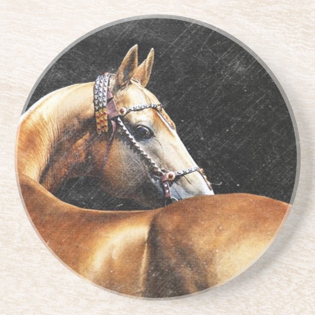 Palomino Akhal-teke stallion Underlägg Sandsten (Framsidan)
