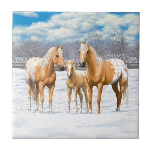 Palomino Appaloosa-hästar i Snö Kakelplatta