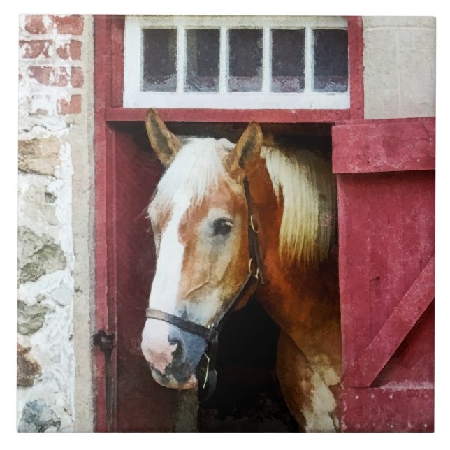 Palomino av Barn Door Kakelplatta (Framsidan)
