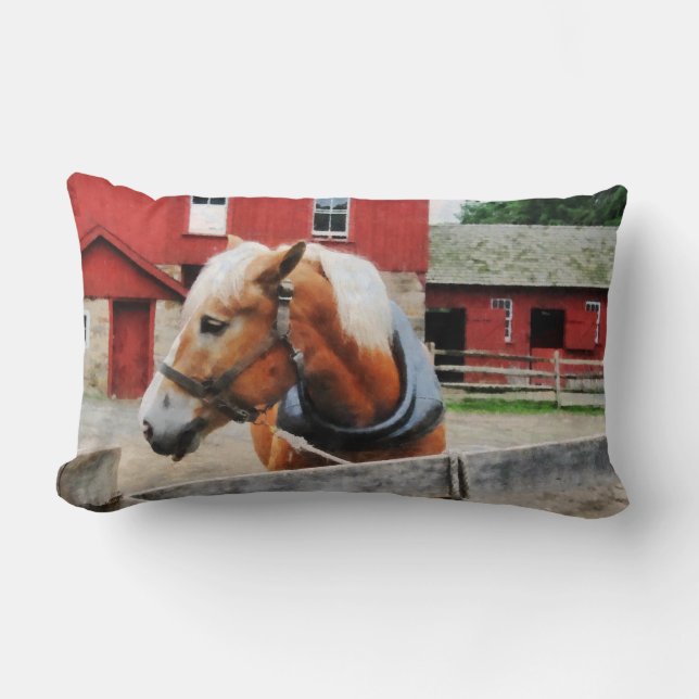 Palomino Av Red Barn Lumbarkudde (Framsida)