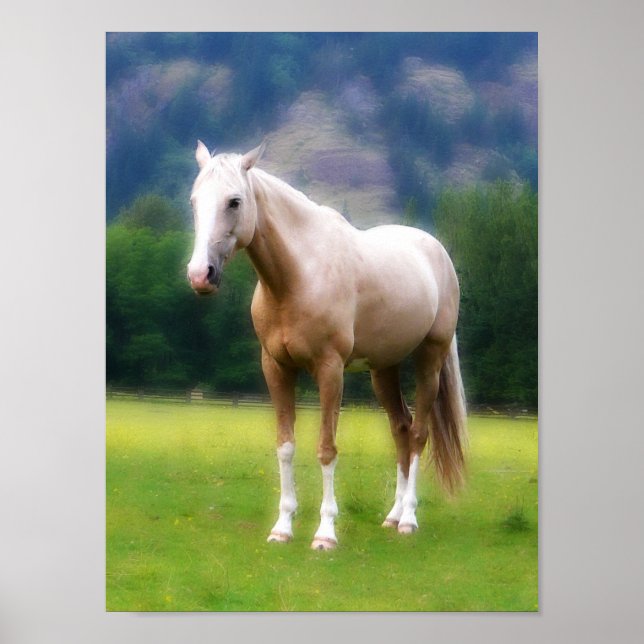 Palomino Dream Horse Poster (Framsidan)