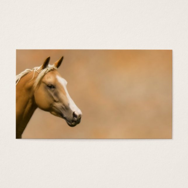 Palomino Elegance Visitkort (Framsidan)