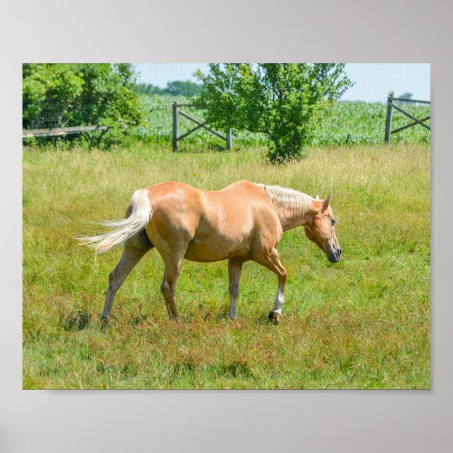 Palomino Farm Horse Poster (Framsidan)