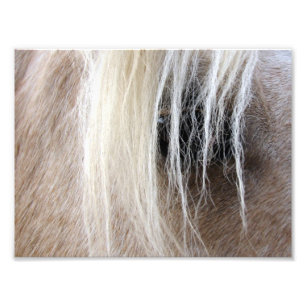 Palomino Fototryck